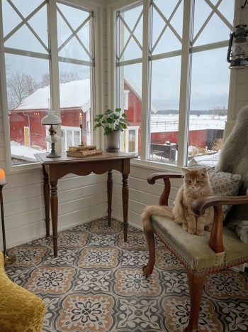 Elitfönster Original Trä 100